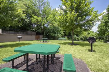 Bbq/picnic area