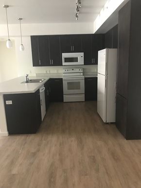 Tucson apartment for rent - an empty kitchen with black cabinets and white appliances