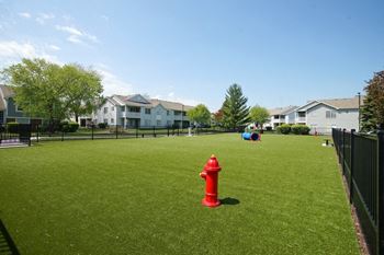 Dog park