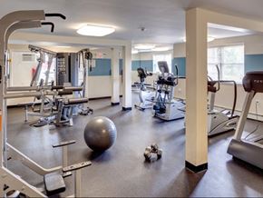 Middletown apartment for rent - a gym with cardio equipment and weights on the floor
