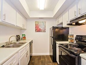 Baton Rouge apartment for rent - spacious kitchen at 21 south aparmtents