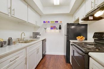 Fully equipped kitchen with garbage disposal