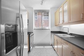 New York apartment for rent - a kitchen with a sink and a refrigerator