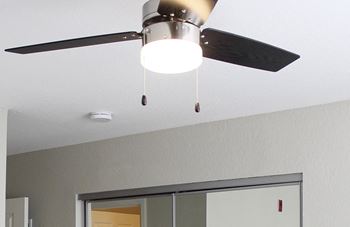 Upgraded designer ceiling fans & light fixtures