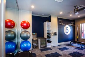 Tampa apartment for rent - a home gym with a bunch of exercise balls on the wall