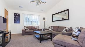 Dekalb apartment for rent - A living room with a couch, a coffee table, and a flat screen TV.