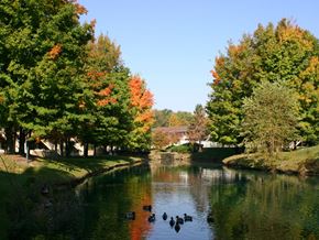 Indianapolis apartment for rent - a river flowing through a park with trees and ducks on it