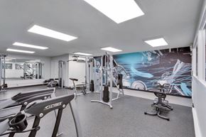 Denver apartment for rent - a gym with exercise equipment and a wall mural