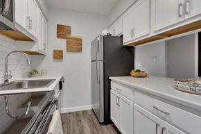 Denver apartment for rent - a kitchen with a sink and a refrigerator