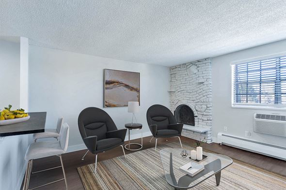 Denver apartment for rent - living room