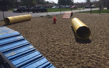 Dog park