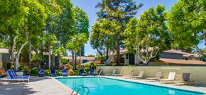 Oceanside apartment for rent - A swimming pool surrounded by trees and lounge chairs.