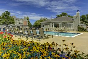 Lakewood apartment for rent - The Hamptons Apartments Pool
