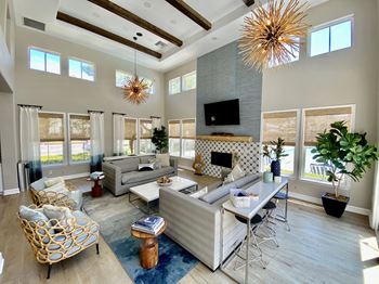 Resident clubhouse lounge