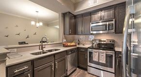 Mckinney apartment for rent - a kitchen with stainless steel appliances and a sink