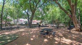 Mckinney apartment for rent - a picnic table in a park with trees