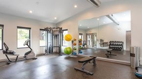 Kalamazoo apartment for rent - Medicine Balls Weight Bench