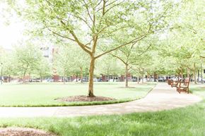 Newport News apartment for rent - a park with trees and benches and a sidewalk