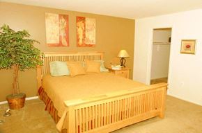 Frederick apartment for rent - a bedroom with a bed and a potted plant