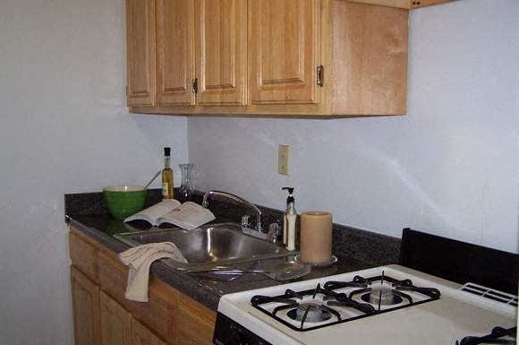 Washington apartment for rent - a small kitchen with a stove and a sink