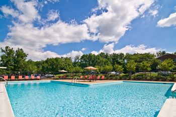 Crystal clear swimming pool