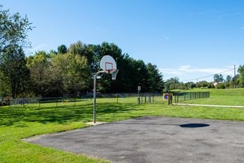Basketball court