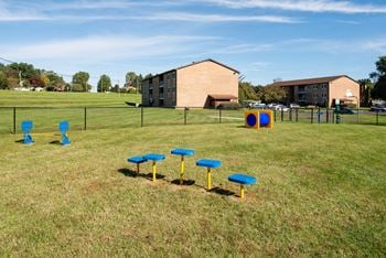 Bright dog park
