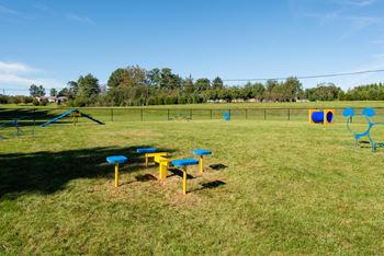 Bark park