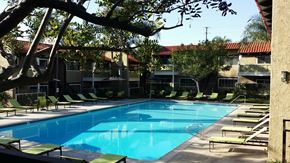 Newport Beach apartment for rent - Community Swimming Pool  at Newport Bay Terrace, Newport Beach, CA, 92660