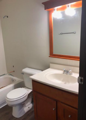 Mchenry apartment for rent - a bathroom with a sink toilet and a mirror