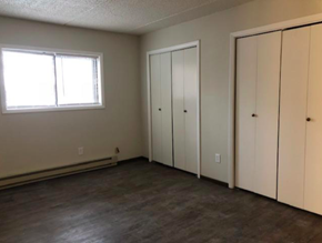 Mchenry apartment for rent - an empty living room with white cabinets and a window