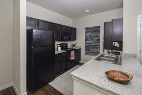 San Antonio apartment for rent - Updated Kitchen With Black Appliances at Rio Lofts, San Antonio