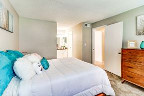 Nashville apartment for rent - a bedroom with a bed and a dresser