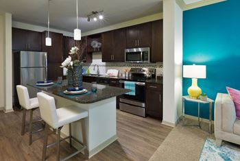 Gourmet kitchen 