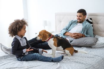 Pet friendly