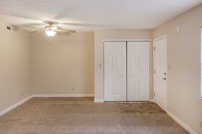 South Point apartment for rent - an empty living room with a ceiling fan and a closet
