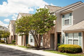 Dayton apartment for rent - a row of town houses with trees in front of them