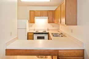 Cincinnati apartment for rent - a kitchen with a sink and a stove and a refrigerator