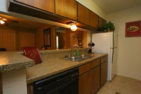 Houston apartment for rent - a kitchen with a sink and a refrigerator