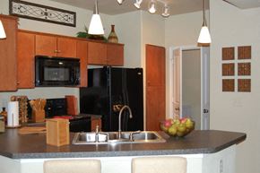 Houston apartment for rent - a kitchen with a sink and a counter top