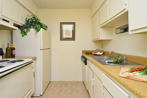 Houston apartment for rent - a kitchen with a sink and a refrigerator