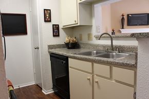 Houston apartment for rent - a kitchen with a sink and a dishwasher and a window