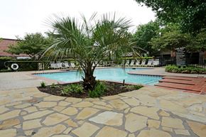 Dallas apartment for rent - a large swimming pool with a palm tree in the middle