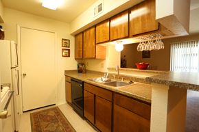 Houston apartment for rent - a kitchen with a sink and a refrigerator