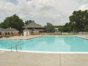 Alexandria apartment for rent - a swimming pool with a building in the background