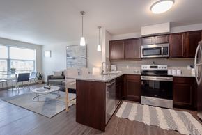 Cleveland apartment for rent - Kitchen area of an apartment fitted with a kitchen island, seating, stainless steel appliances, and spacious cabinets.