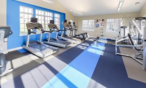 Conshohocken apartment for rent - a gym with cardio machines and weights at the at the park apartments