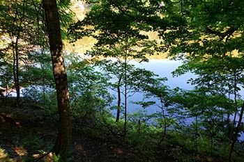 Walking trail to fitzgerald park ledges (riverwalk)