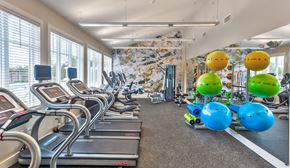 Plymouth apartment for rent - Clubhouse Fitness Center