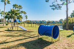 Brandon apartment for rent - Dog Park at 2211 Grand Isle, Florida